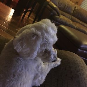 Meet your Posher, Leslie