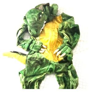 Dragon Costume 