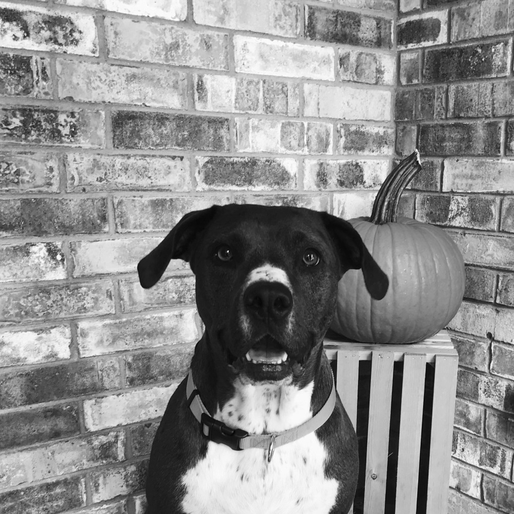 Meet your Posher, Katherine