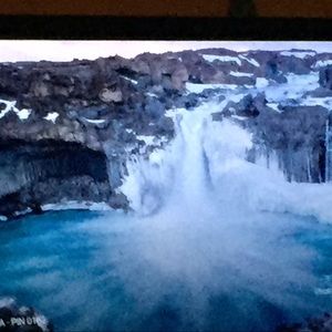 Meet your Posher, Terryann