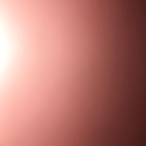 Meet your Posher, Raylina