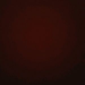 Meet your Posher, Jaidyn