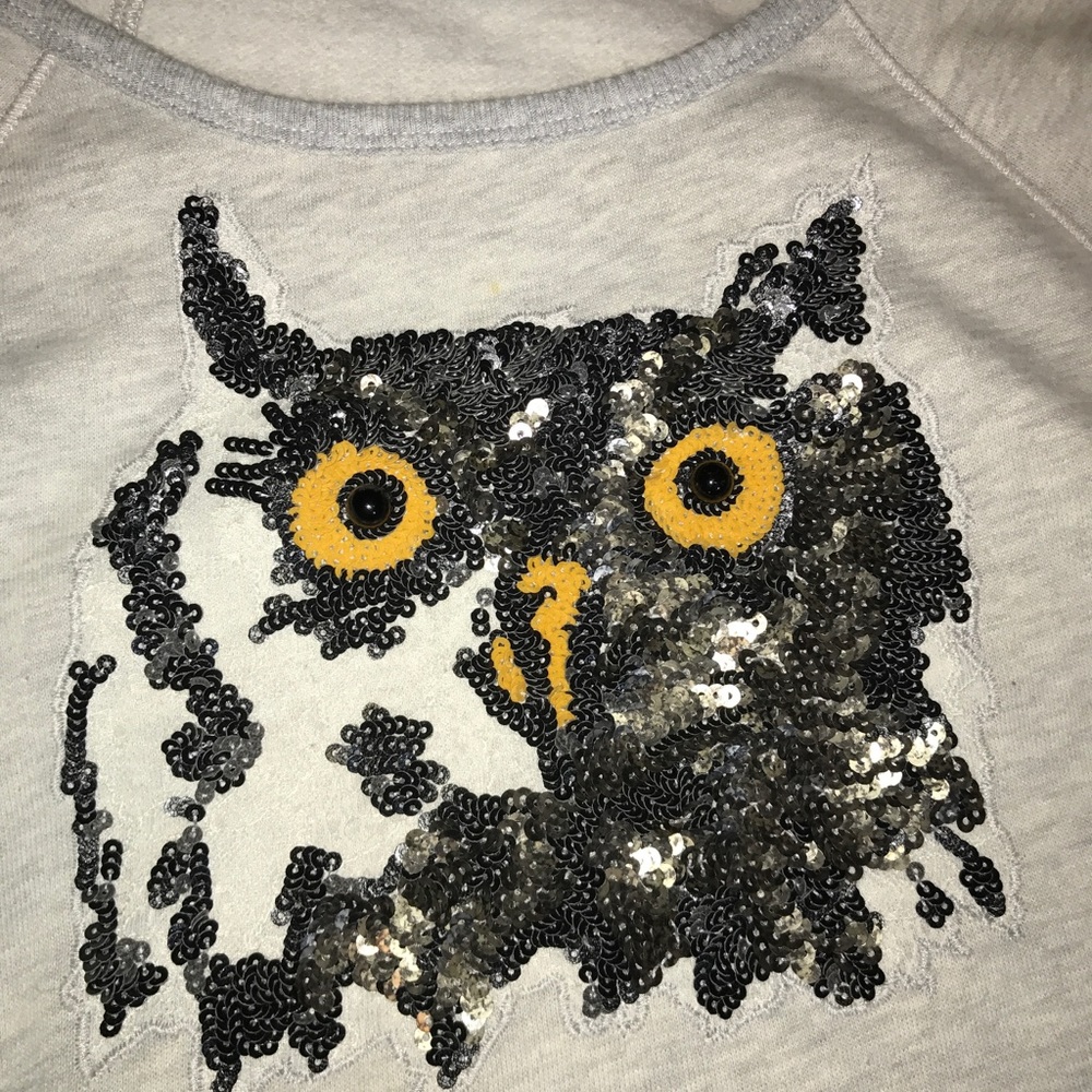 FINAL❗️EXPRESS 🦉sequin Owl Long- sleeves crop top