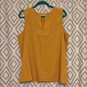 Goldenrod BR top