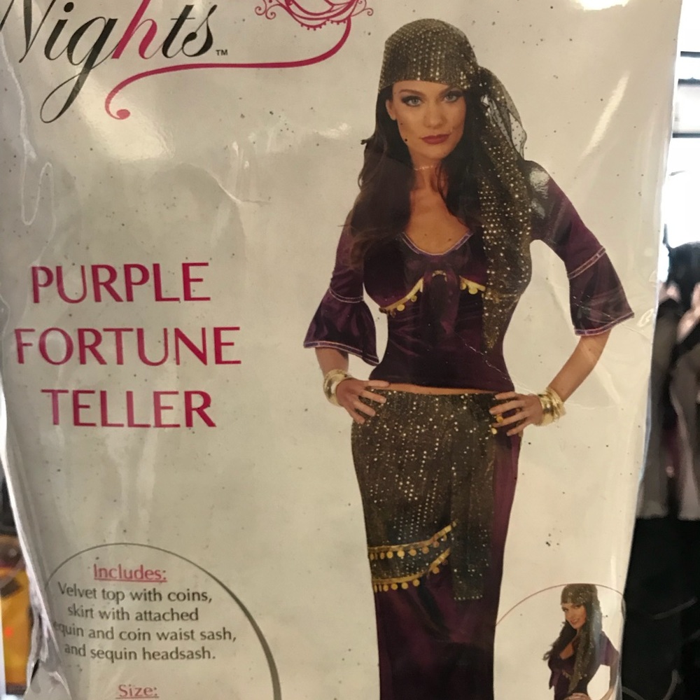 Halloween Costume Purple Fortune Teller