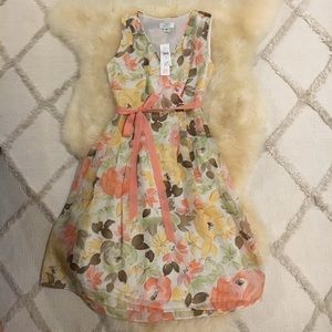 NWT Ann Taylor Loft Dress Size 0P