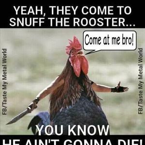 Meet your Posher, Tracey