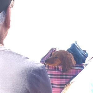 Meet your Posher, Alex