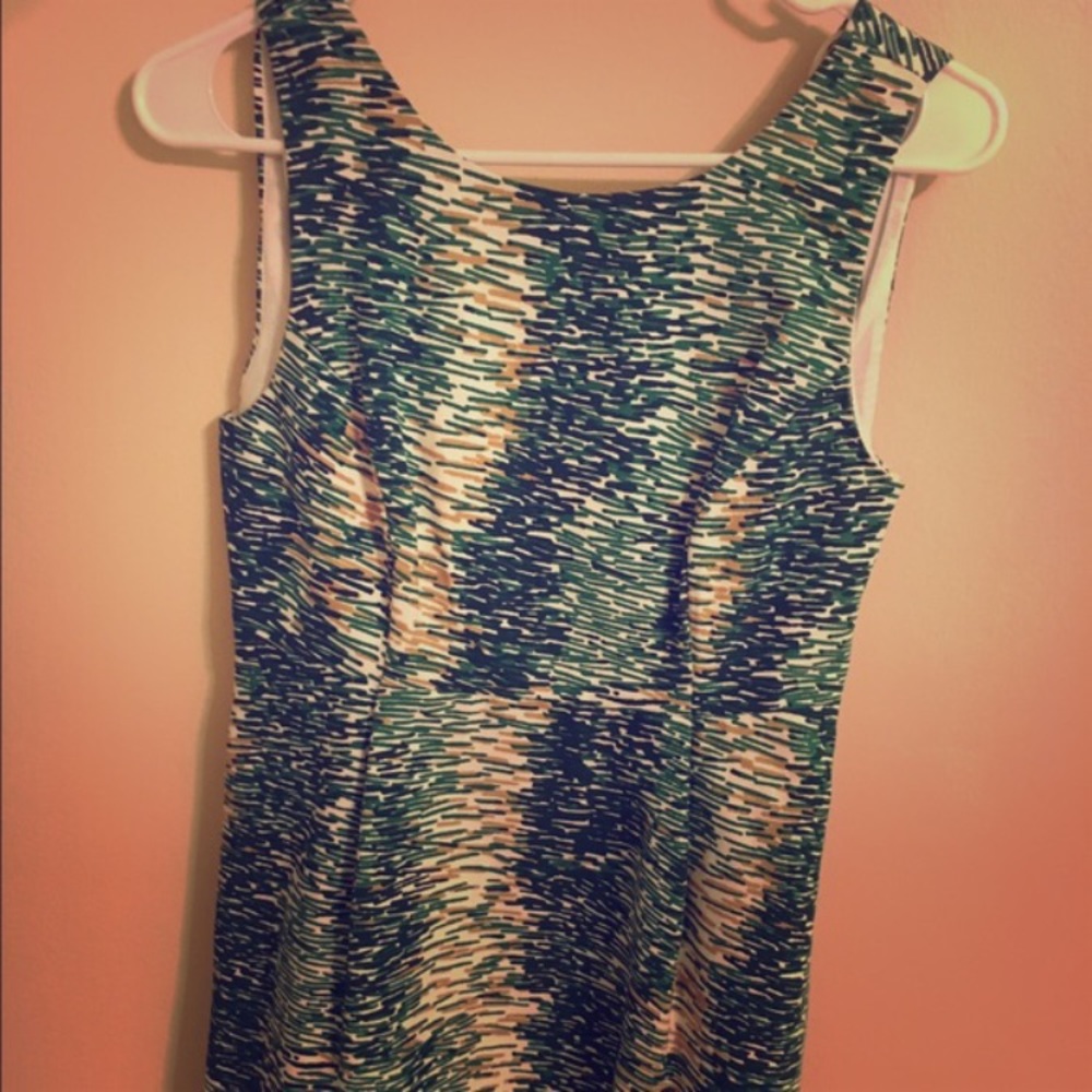 Zara Dress with pockets