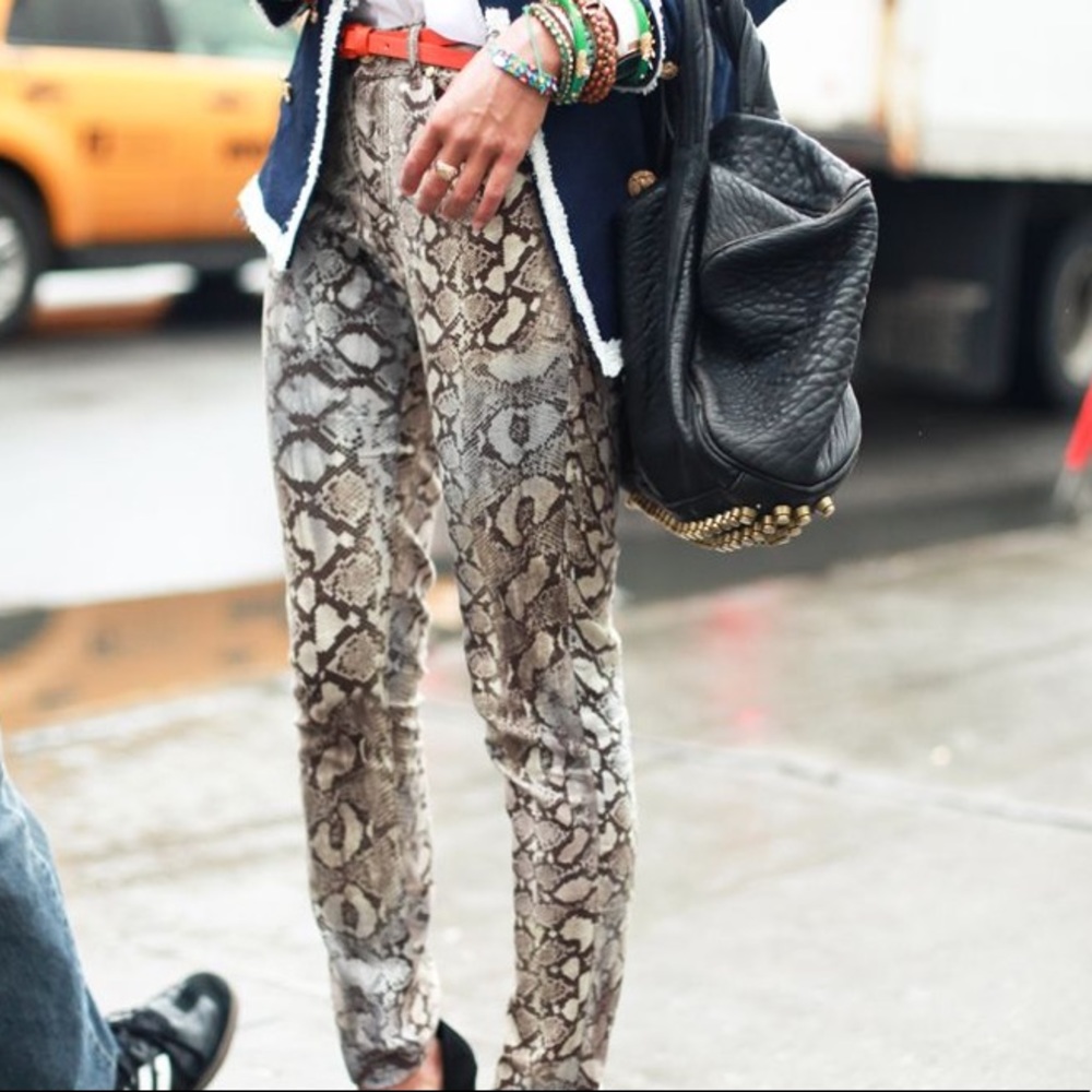 Zara Basic Snake Skin Pant/Jean