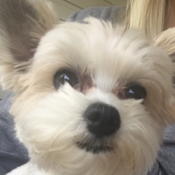 Meet your Posher, Sarah - Picture 1 of 1