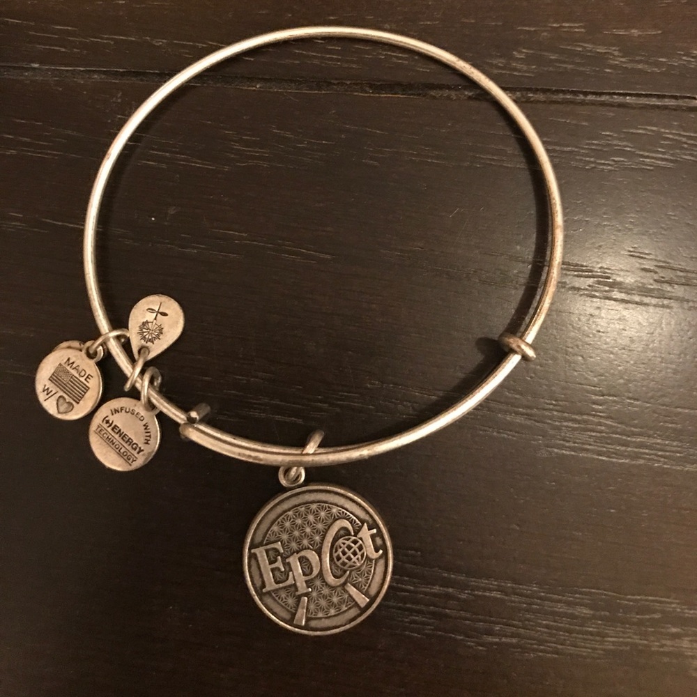 Alex&Ani Disney Bangle w/ Epcot Charm