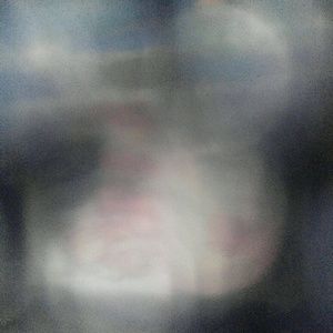 Meet your Posher, Liz