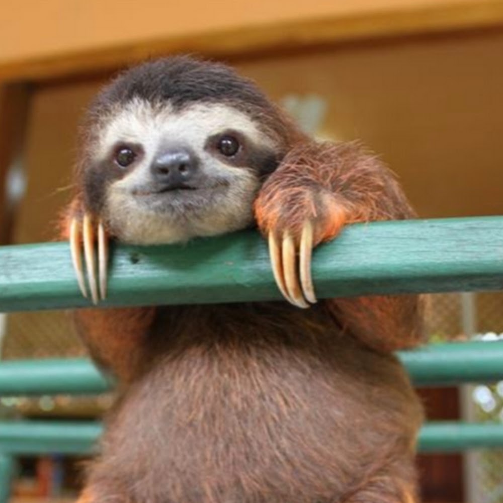 Meet your Posher, Aurélien