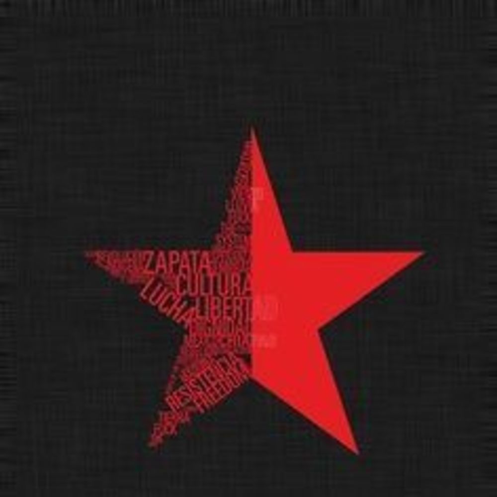 Meet your Posher, Carly