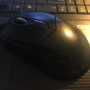 mouse