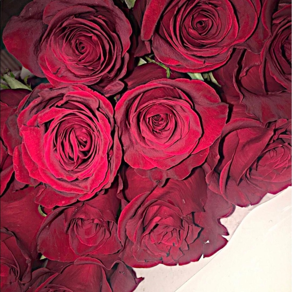 Meet your Posher, Stacy