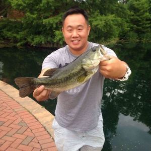 Meet your Posher, Bobby