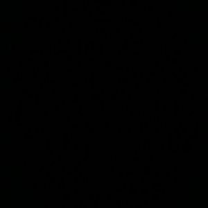 Meet your Posher, Danika