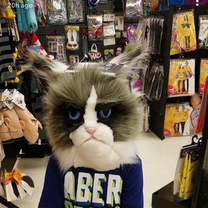 Meet your Posher, Ashlee