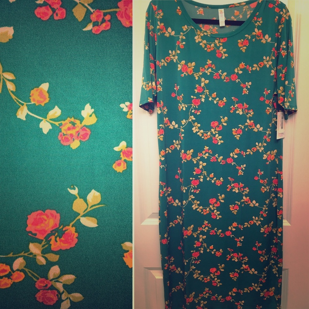 LuLaRoe Julia dress