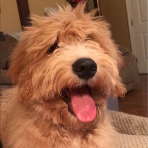 Meet your Posher, Brooke