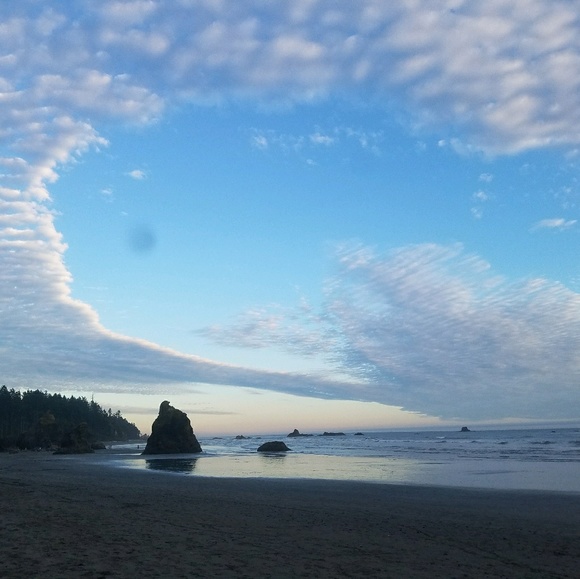 Meet your Posher, Rochelle - Picture 1 of 1