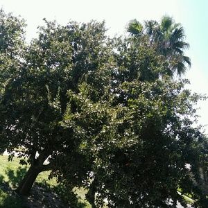 Meet your Posher, Sarahi