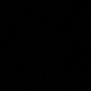 Meet your Posher, Freddy