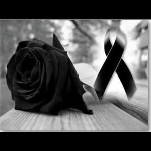 Meet your Posher, Yisel