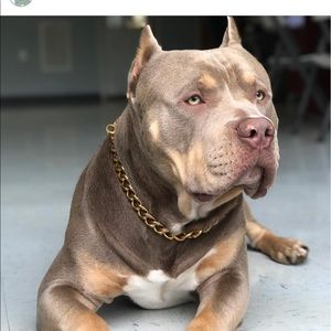 Meet your Posher, Rob