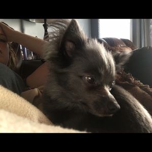 Meet your Posher, Beth