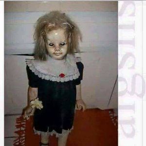 Meet your Posher, Penny