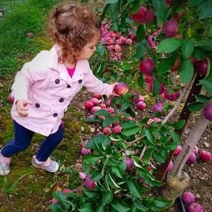 Meet your Posher, Effy