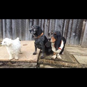 Meet your Posher, Jessa