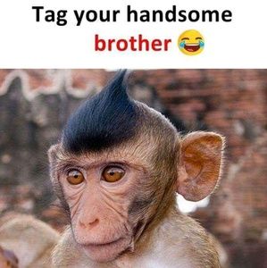 Meet your Posher, Ed