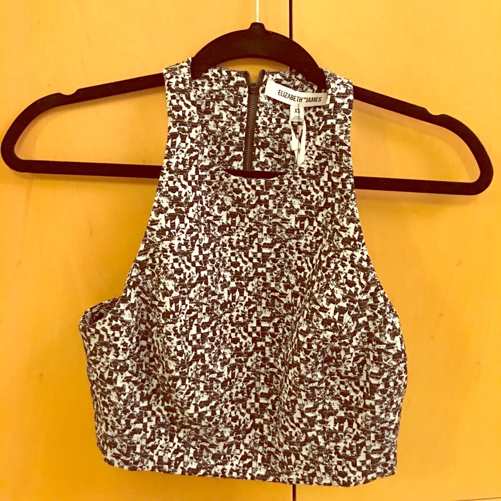 Elizabeth and James Upton crop top
