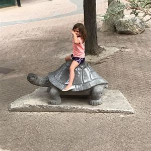 Meet your Posher, Joe