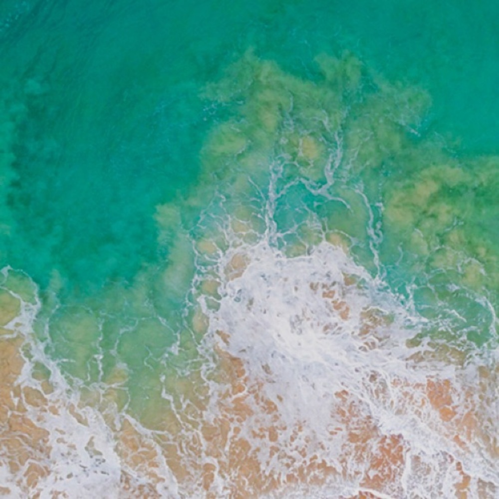 Meet your Posher, Liss