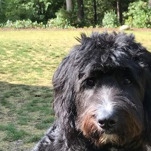 Meet your Posher, Donna