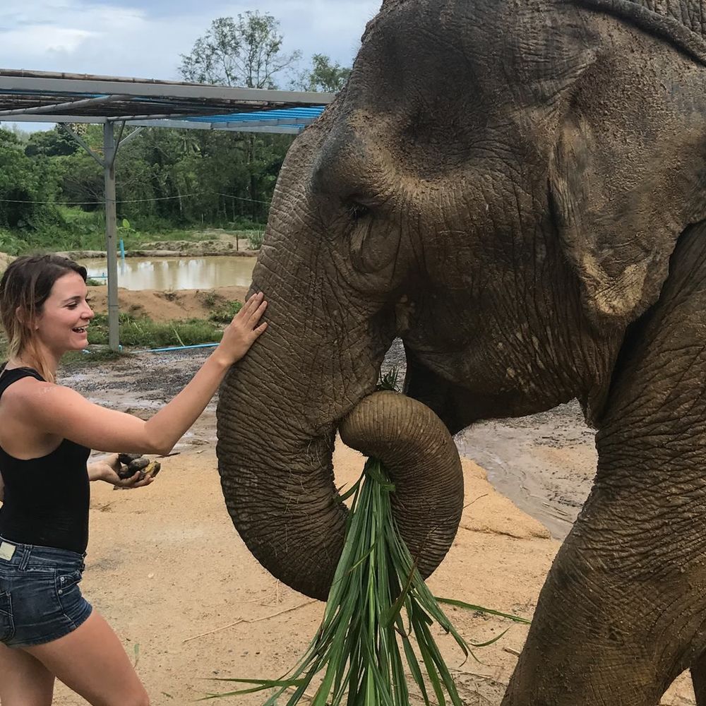 Meet your Posher, Lauren