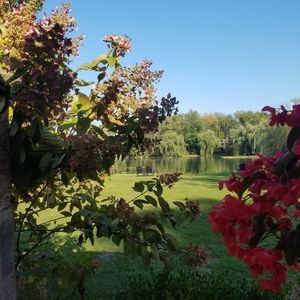 Meet your Posher, Rhonda