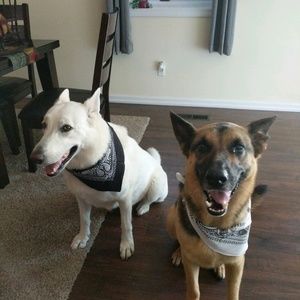 Meet your Posher, Jami