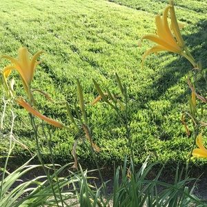 Meet your Posher, Denise