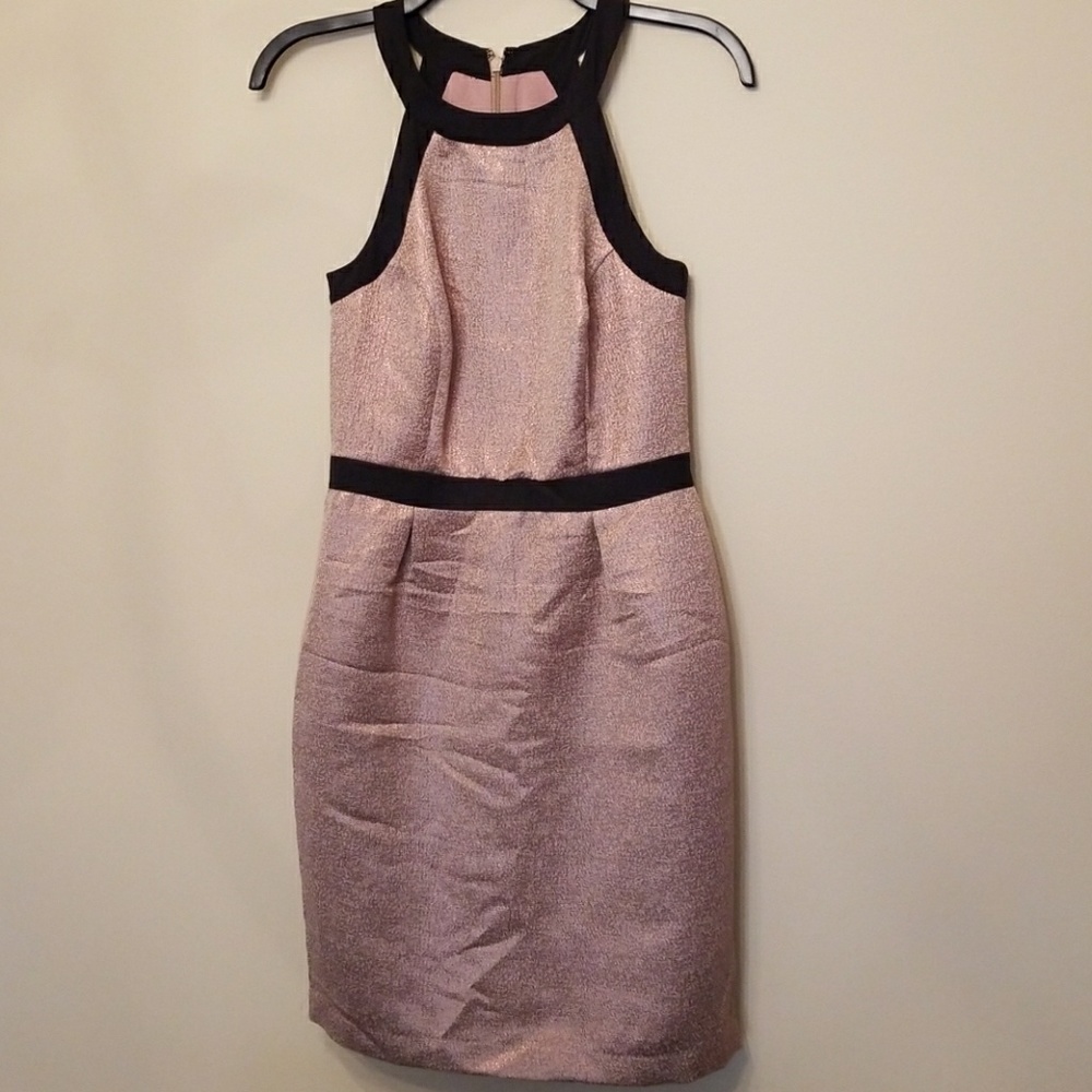 The Limited dress