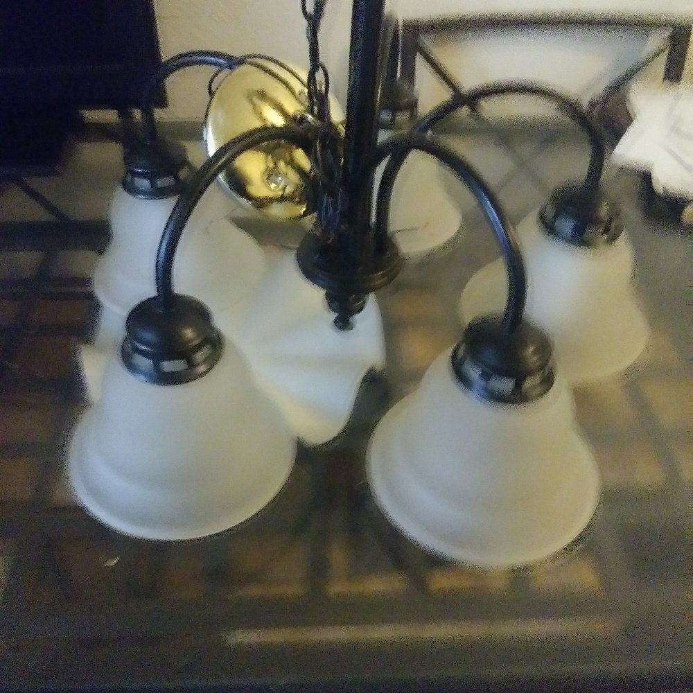 Everything - Picture 5 of 6