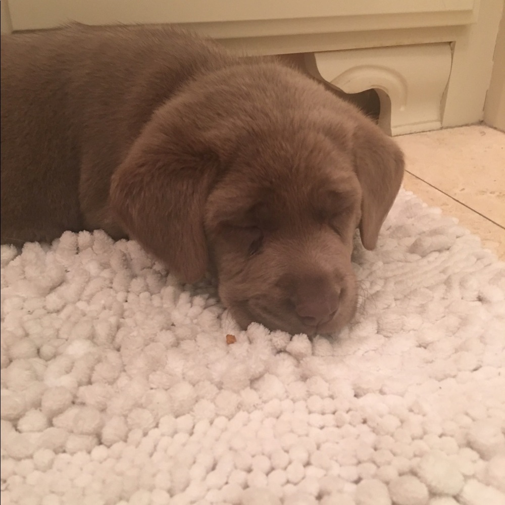 Meet your Posher, Tammie