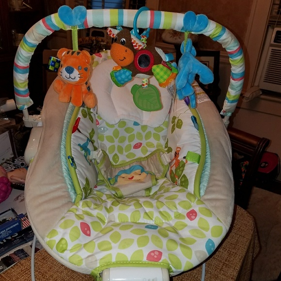 Other - Infant Seat