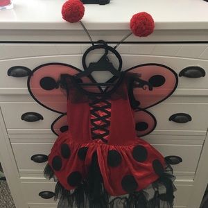Ladybug costume