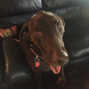 Meet your Posher, Nancy